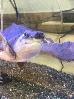 ブログ画像45.jpg
